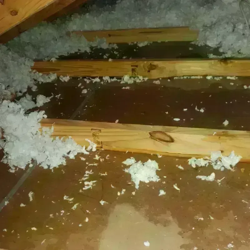 Attic Water Damage in City of Salem, VA