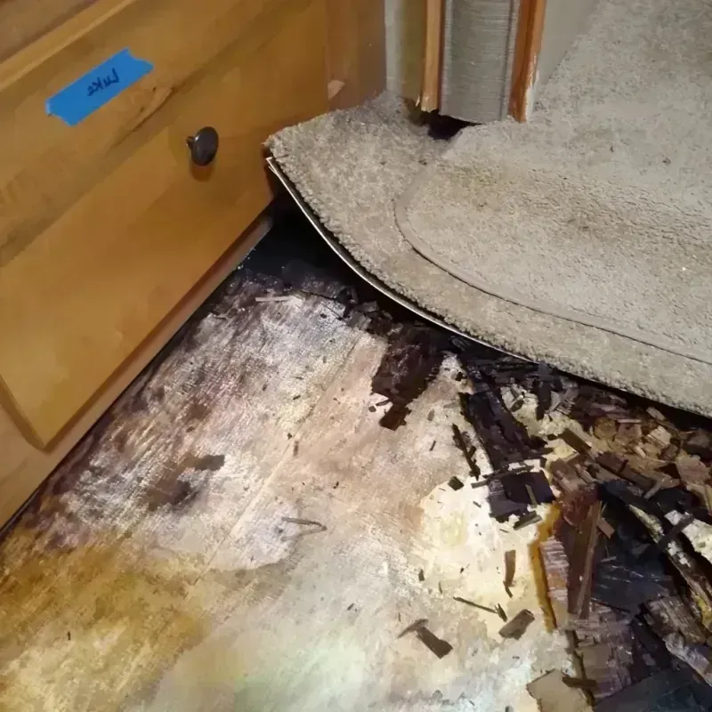 Wood Floor Water Damage in City of Salem, VA